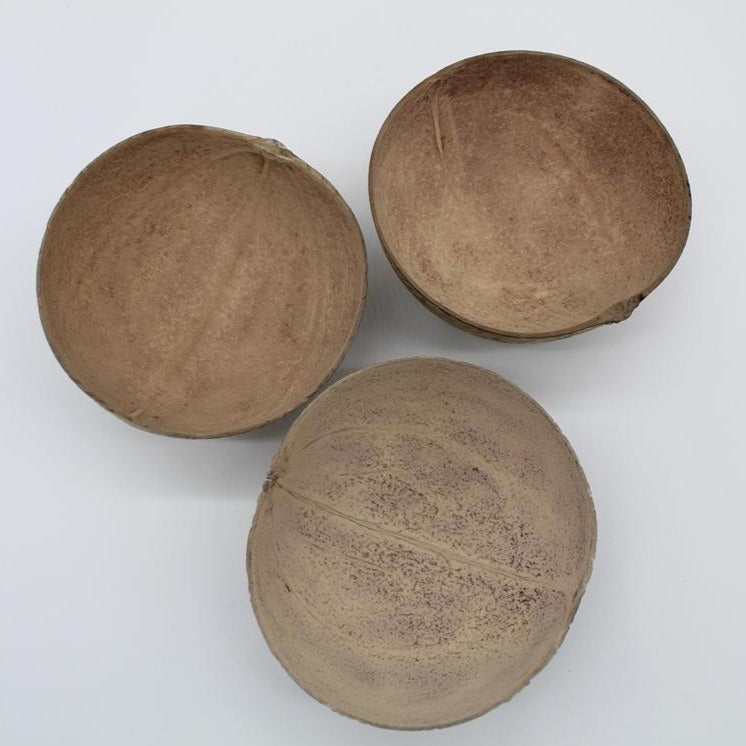 Natural gourd handcarved Bowl - Set of 3